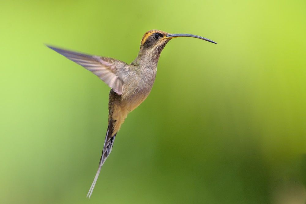 Photograph by Eduardo Bom