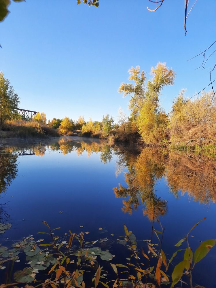 Photograph by Евгения Митюшкина