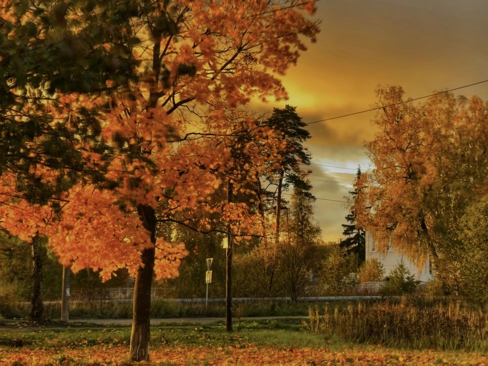 Photograph by Наталья Сережко