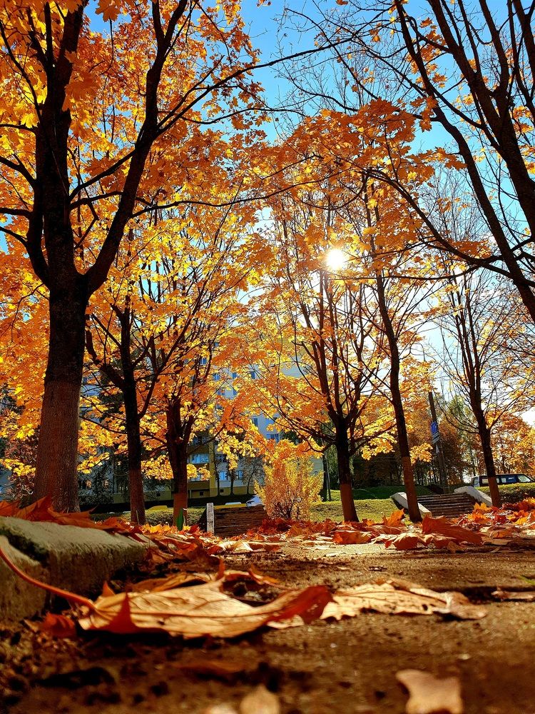 Photograph by Наталья Пагоцкая