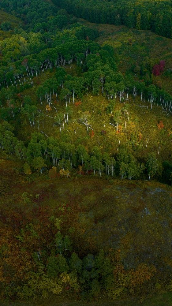 Photograph by Sergey