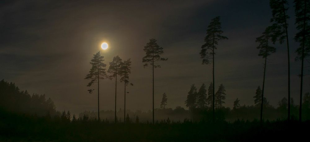 Фотография автора Aлексей Игнатьев