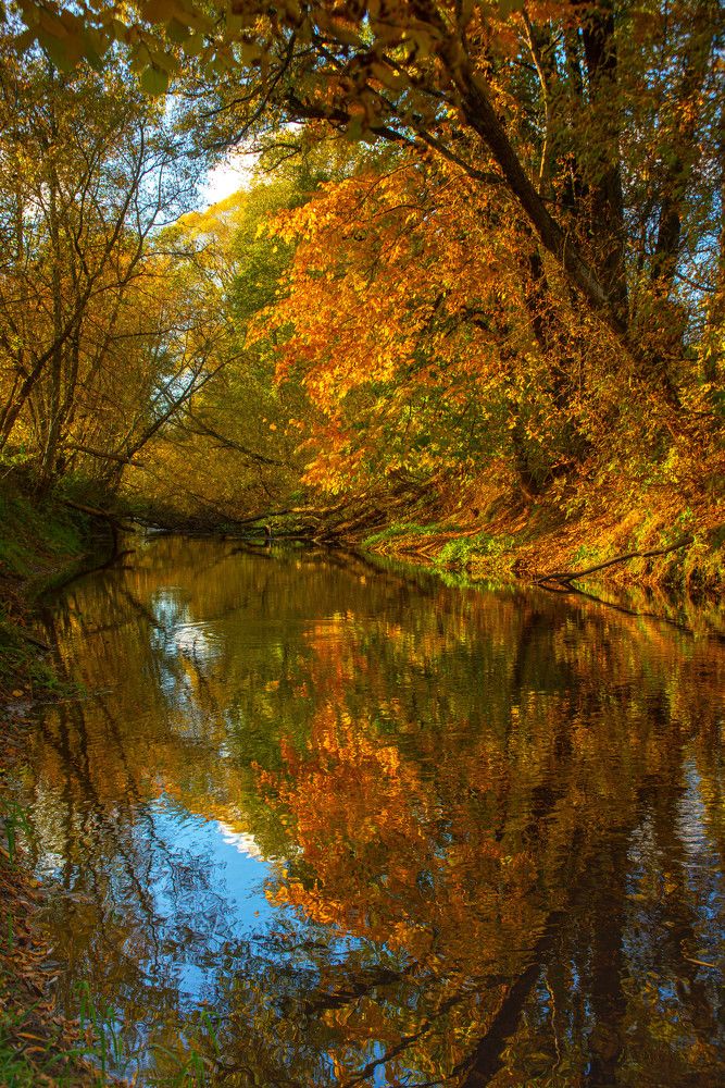 Фотография автора Aлексей Игнатьев