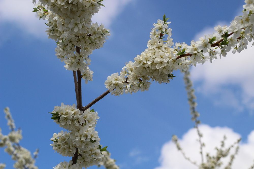 Photograph by Наталия