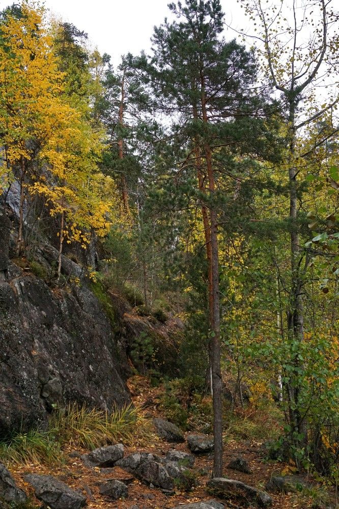 Photograph by Татьяна Семенова