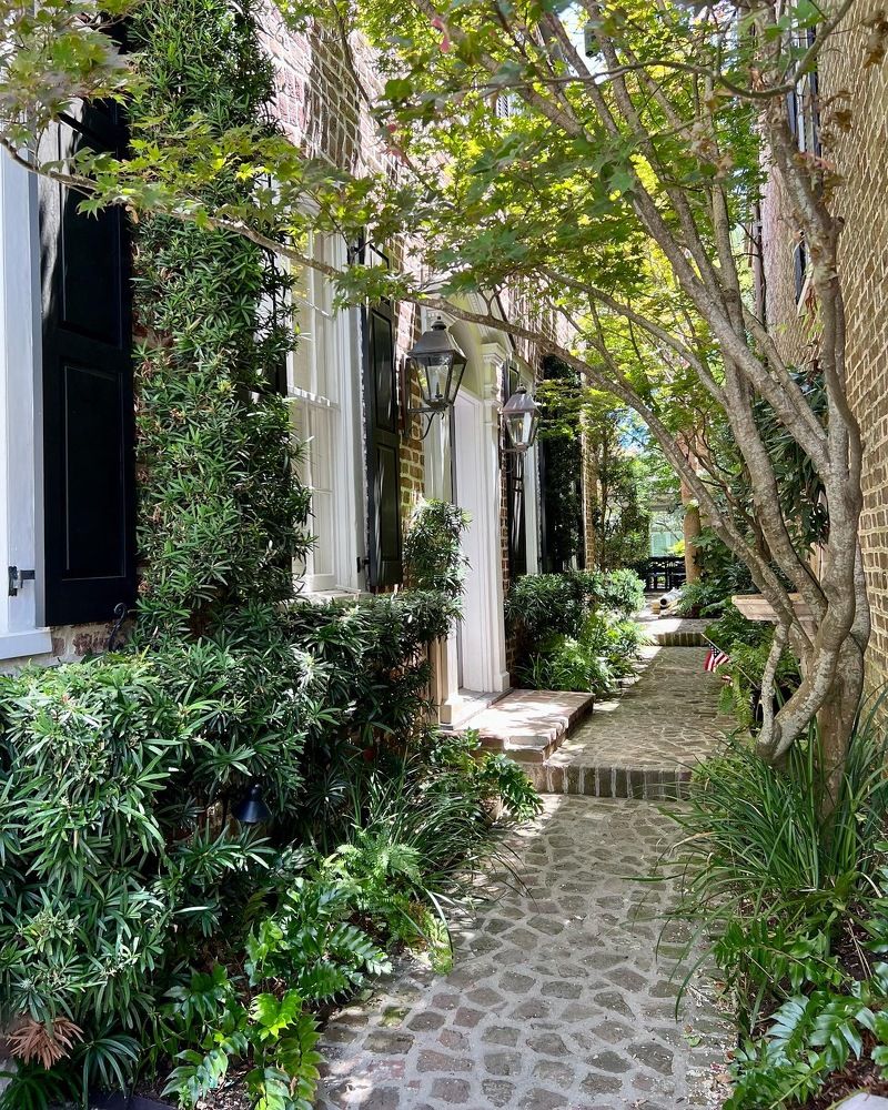 Фотография автора Olga Kichkaila