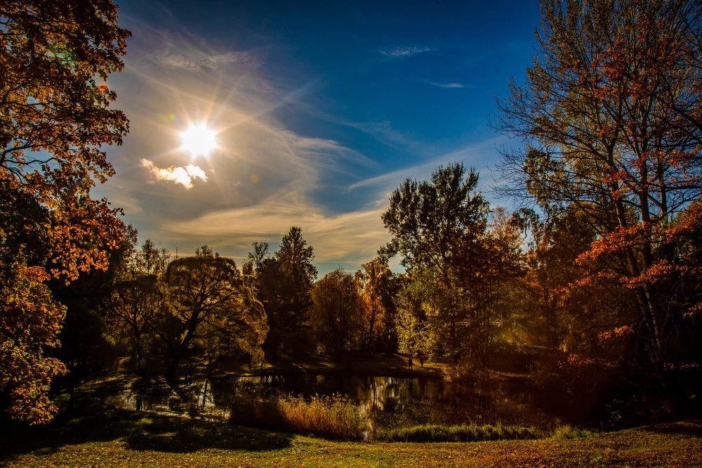 Photograph by Ольга Сафронова