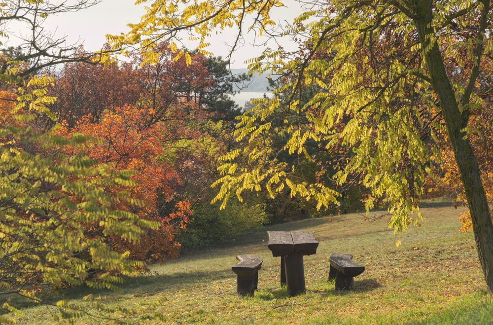 Photograph by Светлана Мельник