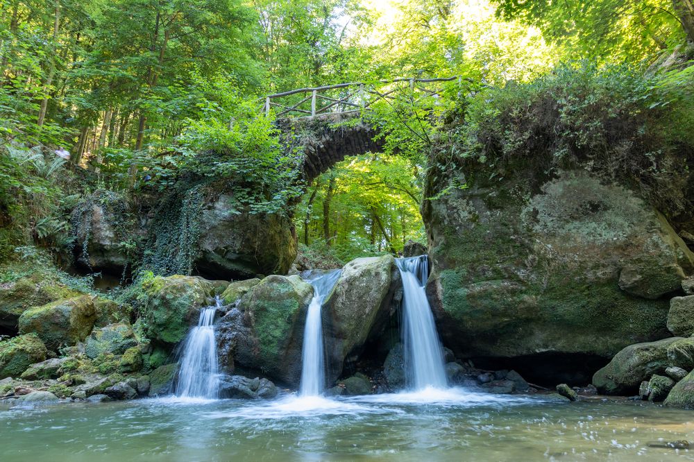 Photograph by Silvia Koopmans