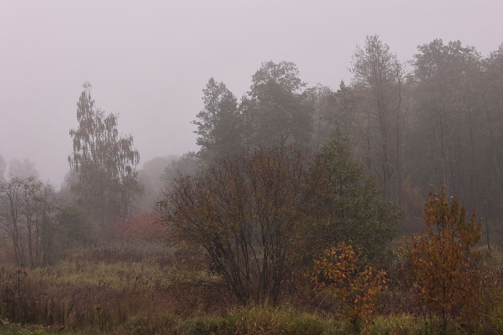 Photograph by Елена Одынец