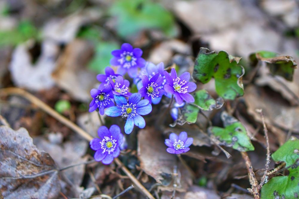 Photograph by Андрей Нурулин