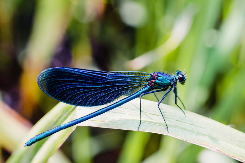 Photograph by Александр Казак