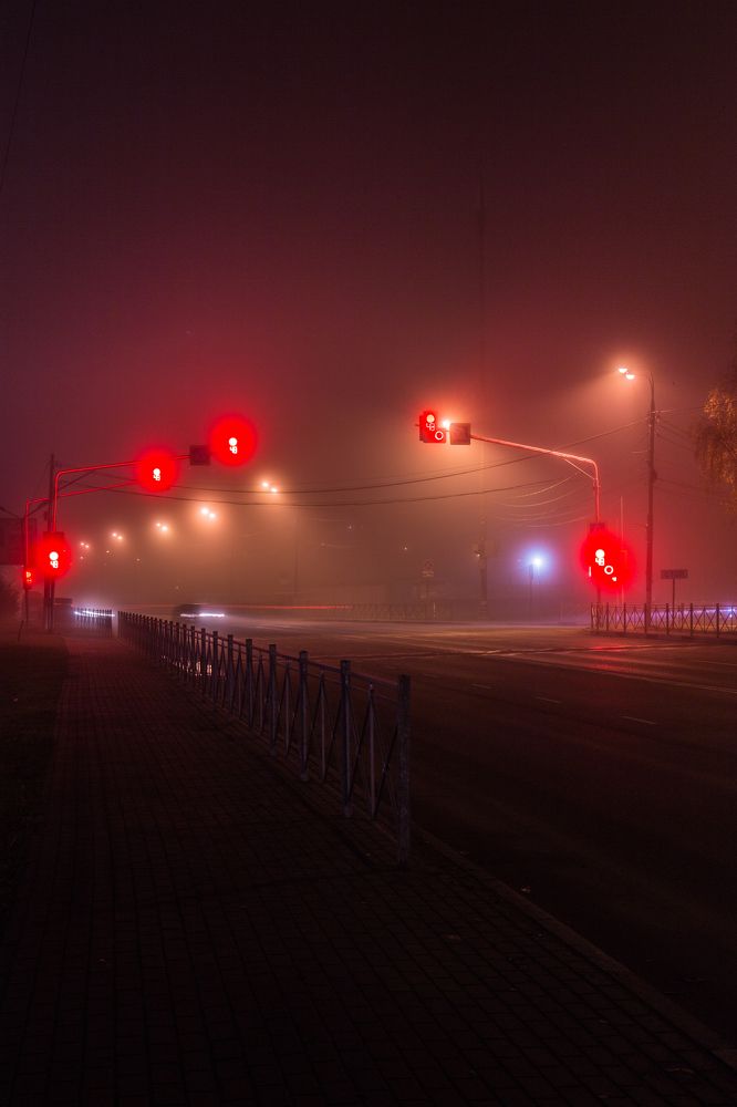 Photograph by Nikita