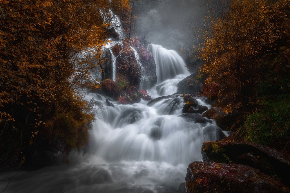 Photograph by Damian Varela