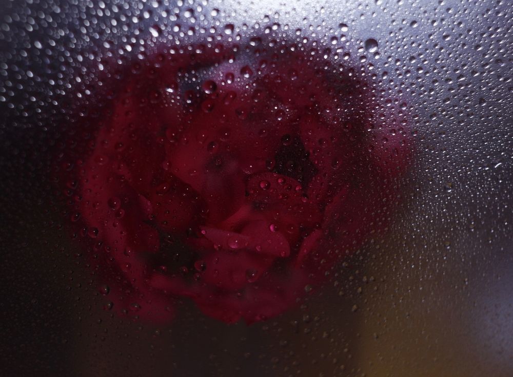 Photograph by Елена Федорова