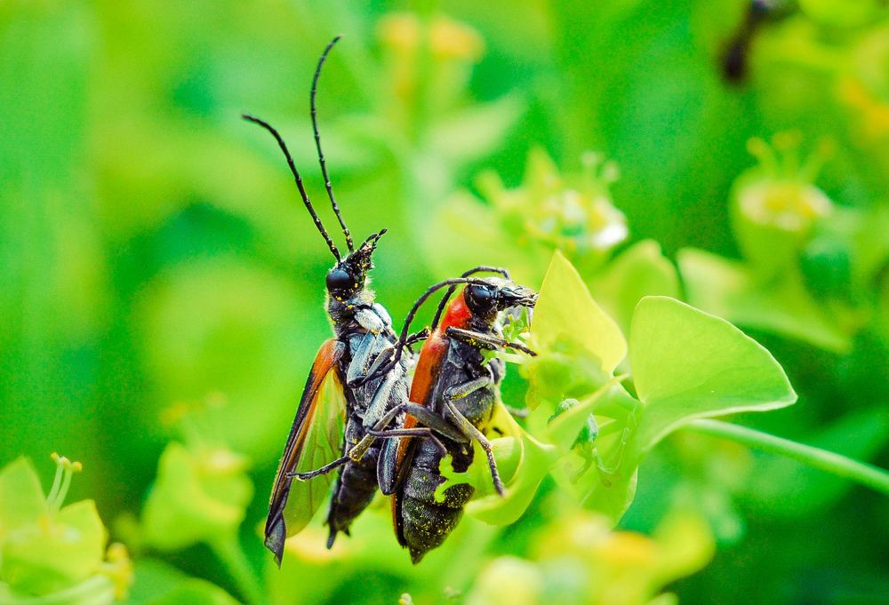 Photograph by Олеся zme