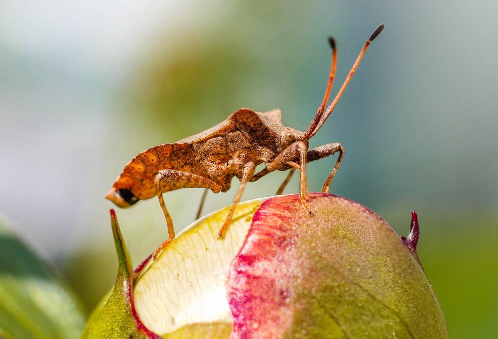 Photograph by Олеся zme