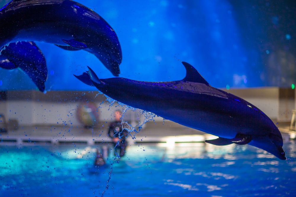 Photograph by Геннадий