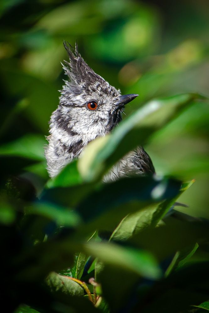 Photograph by Оксана Маховская