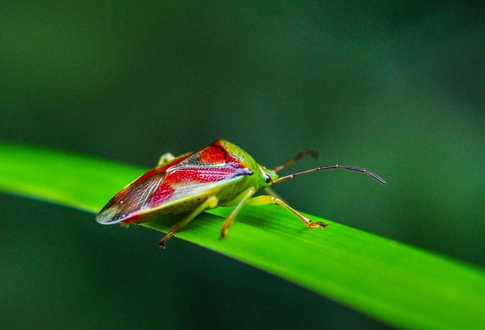 Photograph by Олеся zme