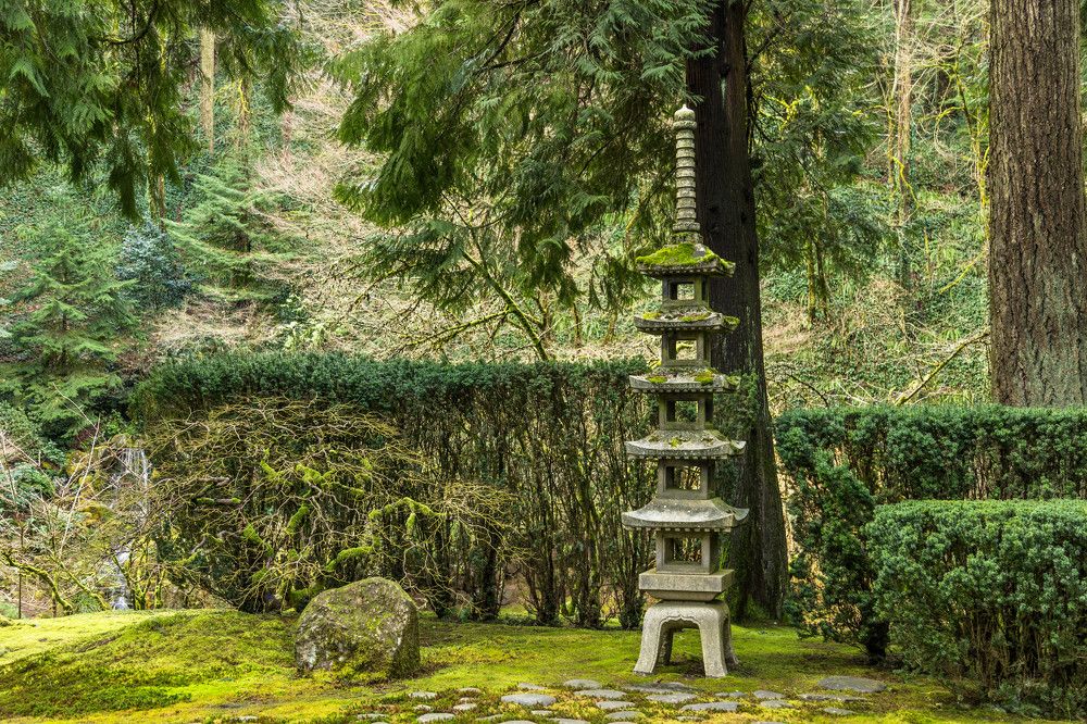 Photograph by Елена Сергеев