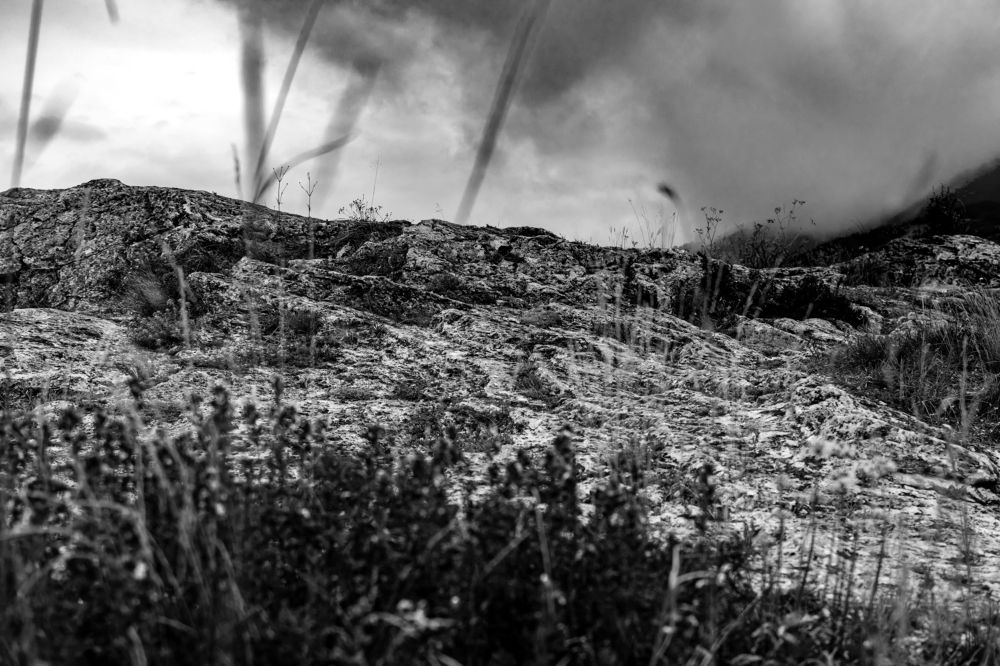 Photograph by Сергей Аникушин