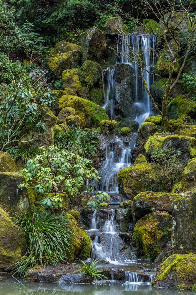 Photograph by Елена Сергеев