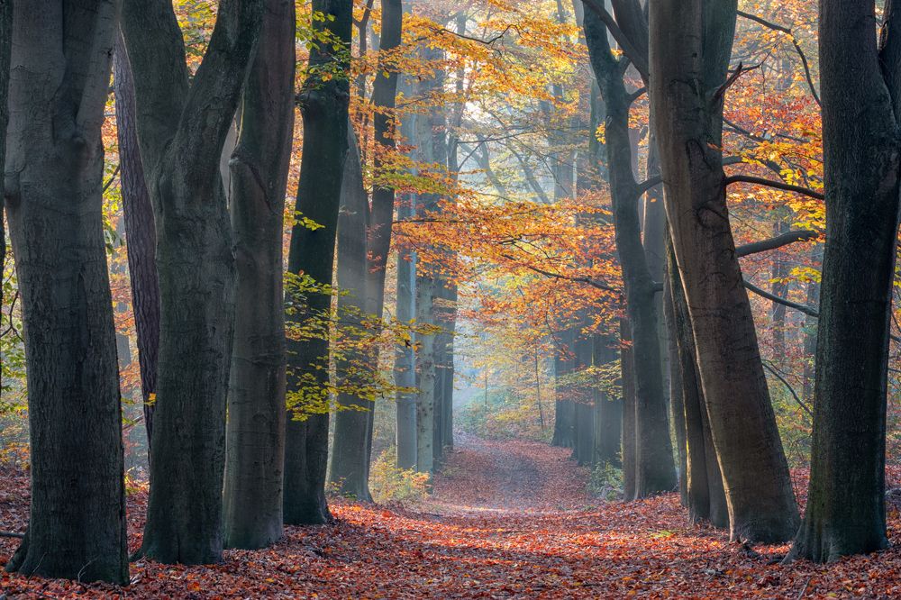 Photograph by Silvia Koopmans