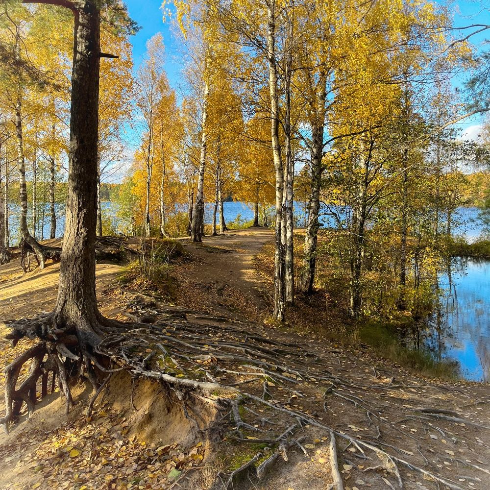 Photograph by Елена Павлова