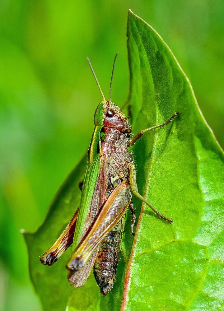 Photograph by Олеся zme