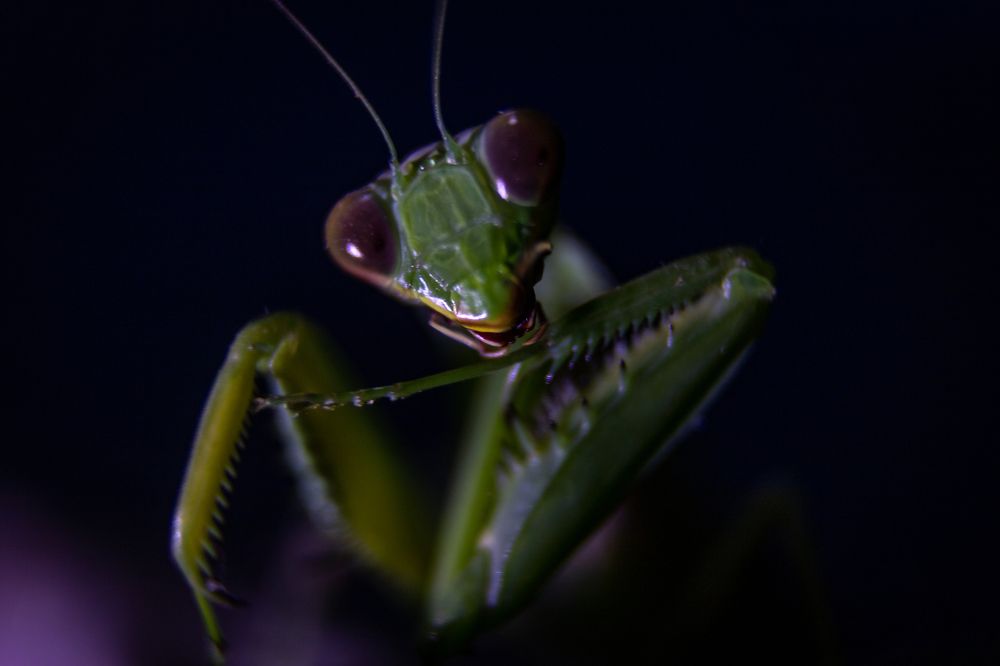 Photograph by Дмитрий Власов