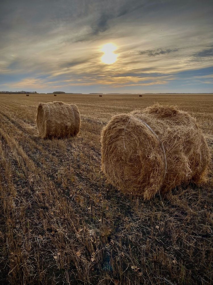 Photograph by Валентина Супчинская