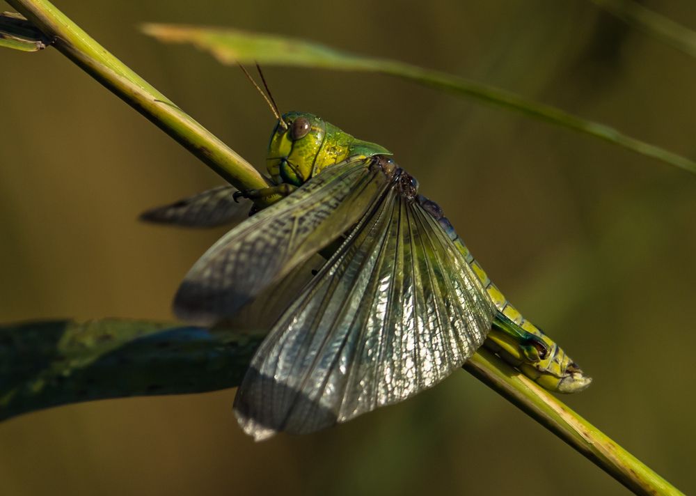 Photograph by Дмитрий Власов