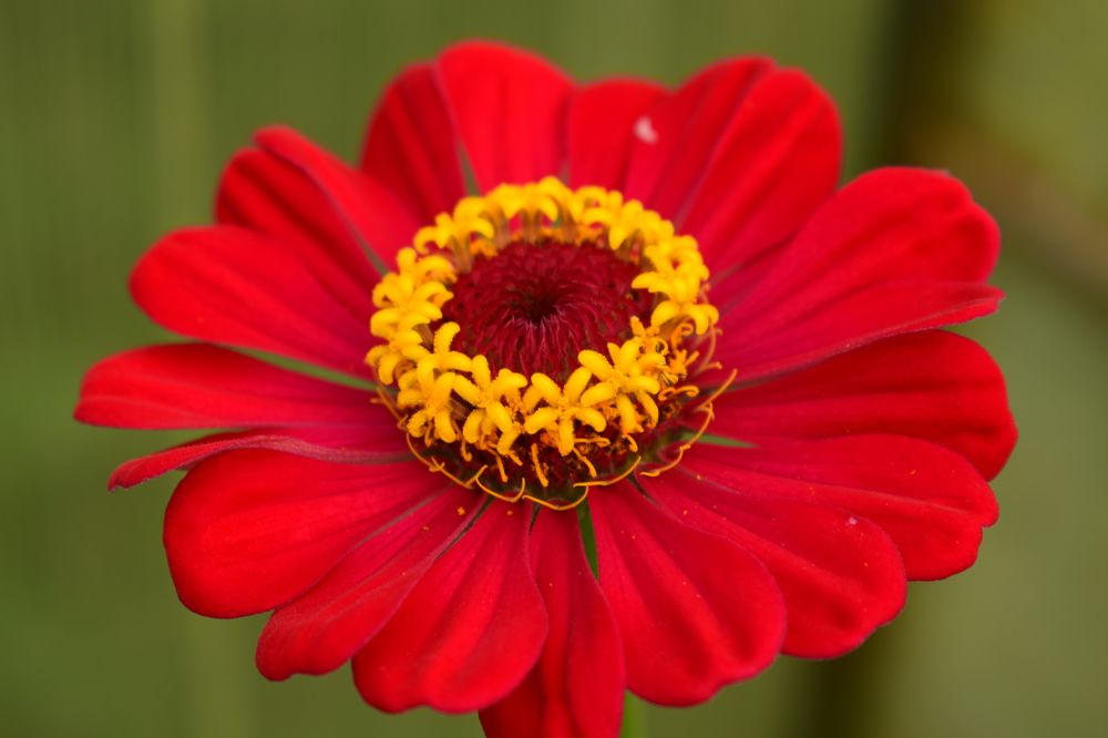 Photograph by Наталья Еременко