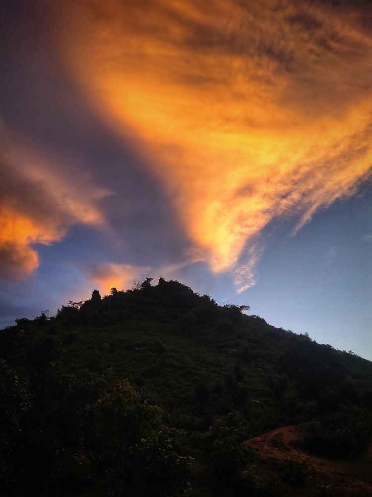 Photograph by SRIMANTA RAY