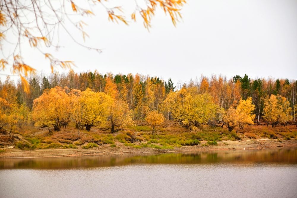 Фотография автора Анастасия Руднева