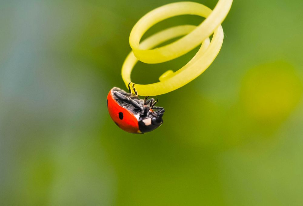 Photograph by Олеся zme