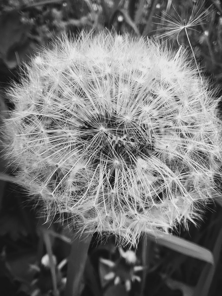 Photograph by Екатерина Слепнева