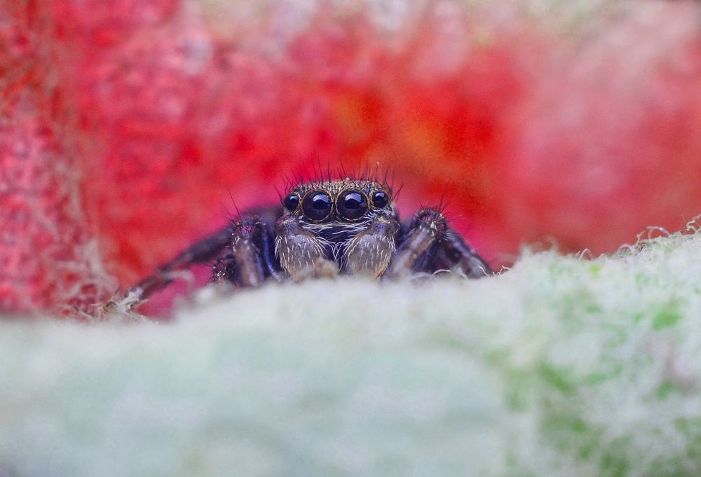 Photograph by Олеся zme