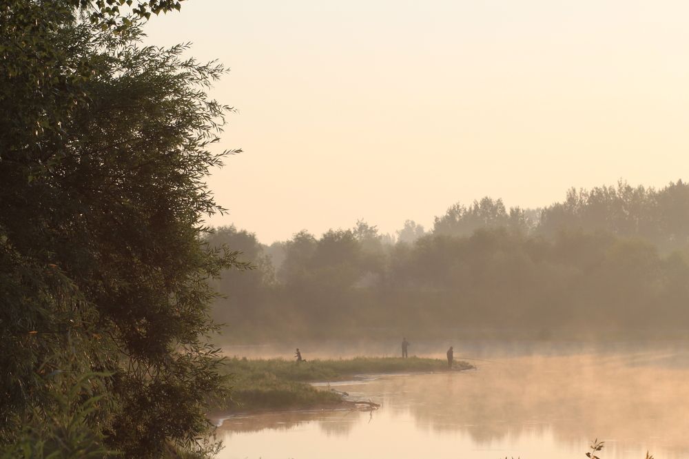 Photograph by Елена Петелина