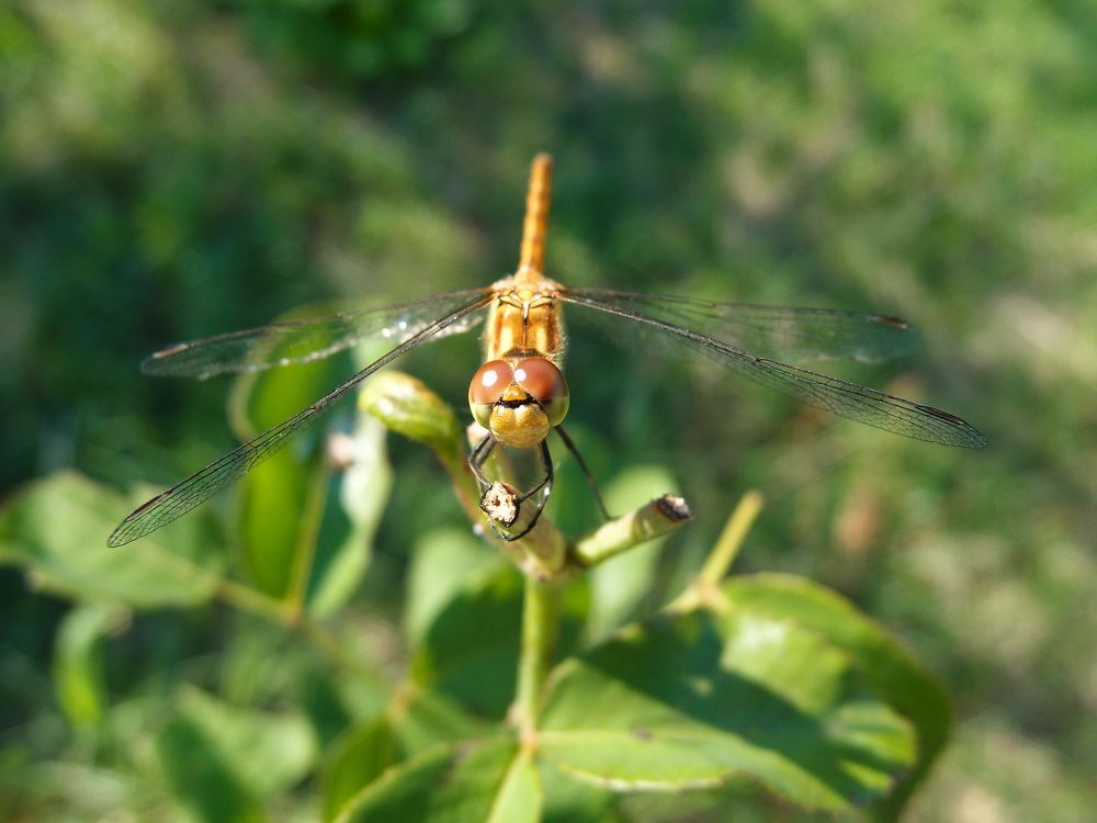 Photograph by Ксения Сёмина