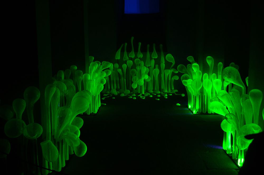 Photograph by Анастасия