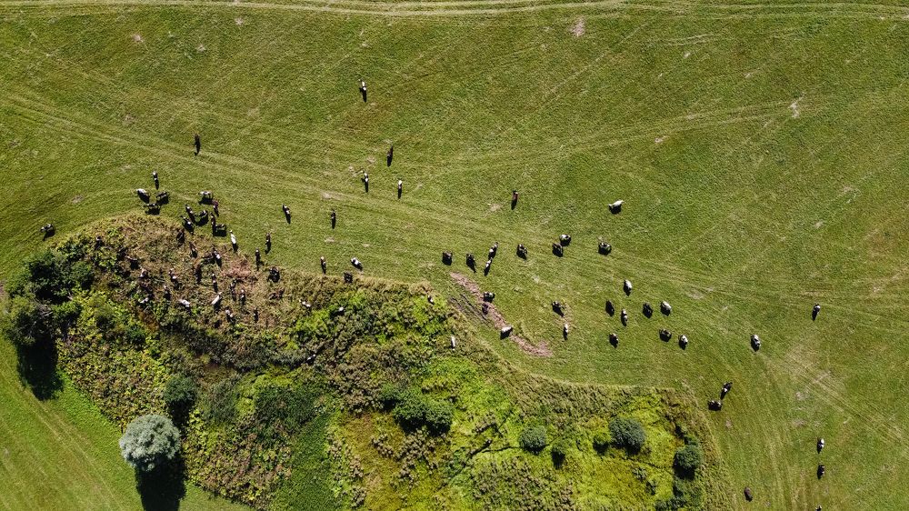 Photograph by Nikita