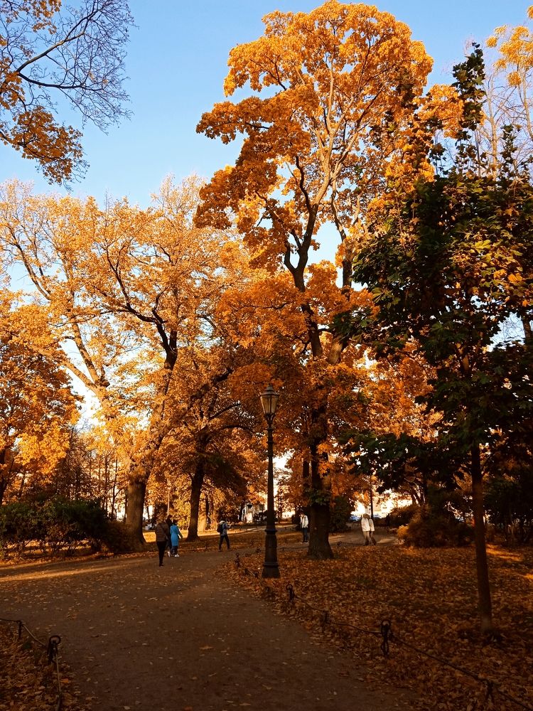 Photograph by Наталия Колемасова