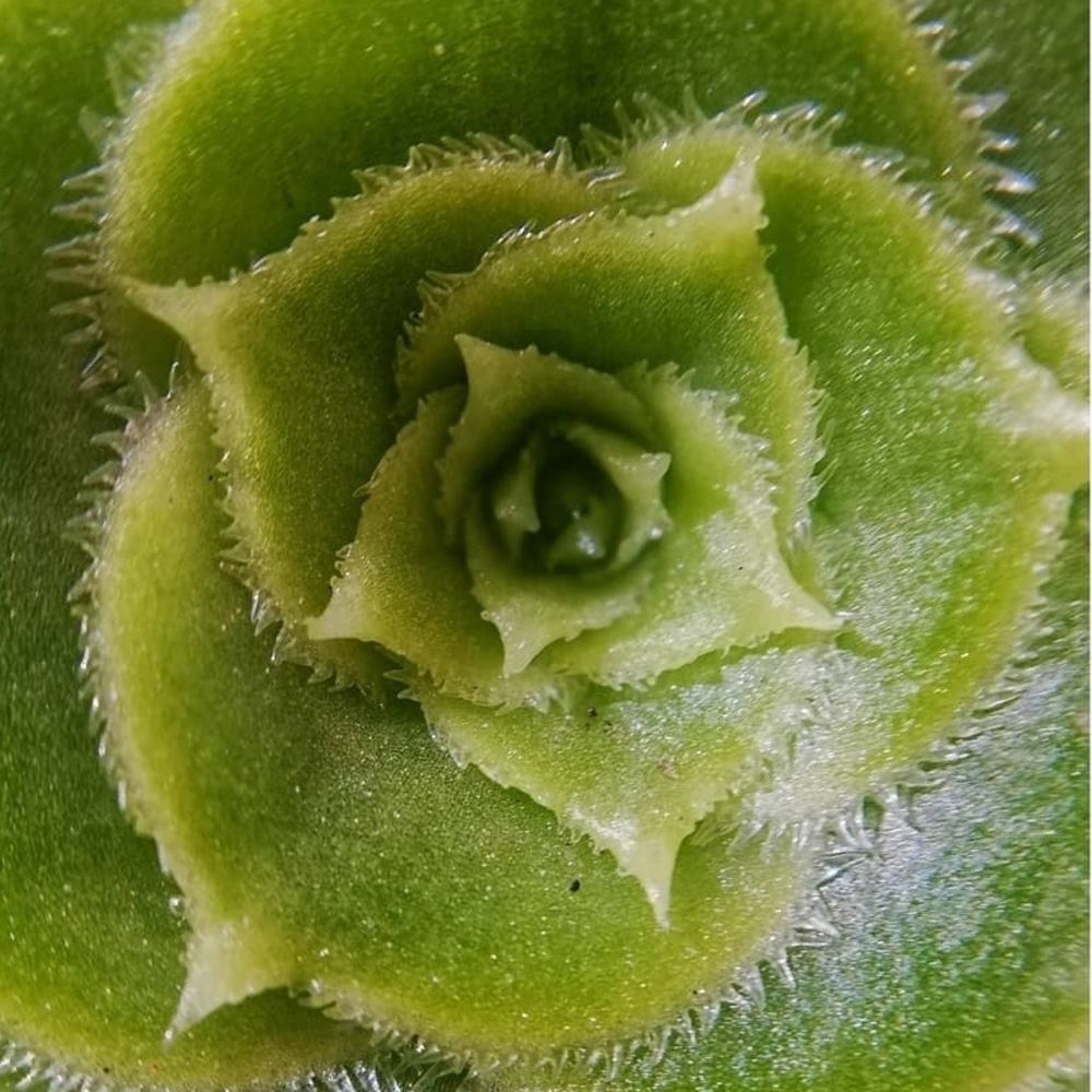 Photograph by Genesis Vivas