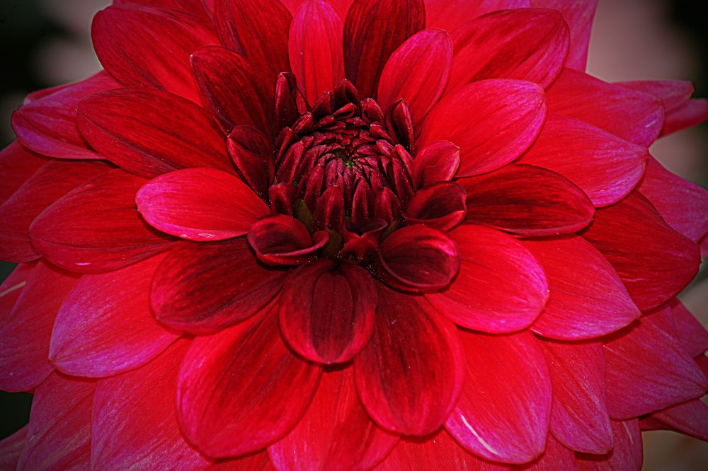 Photograph by Диана Ульянцева