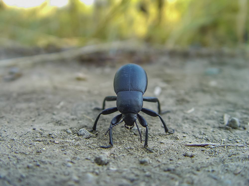 Photograph by Андрей Ларин