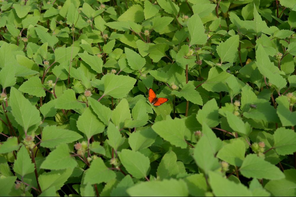 Photograph by Olga Matiashova