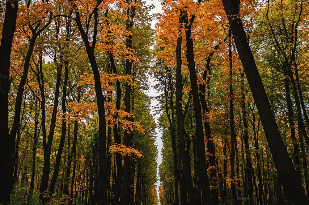 Photograph by Константин Власов