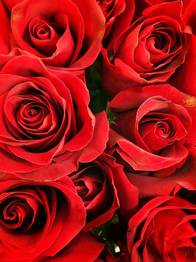 Фотография автора Анастасия Руднева